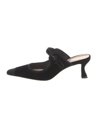 Pre-owned Alexandre Birman Velvet Mules In Black