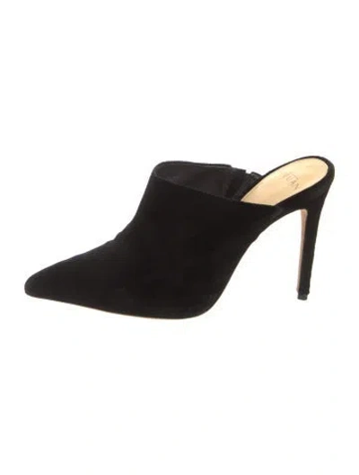 Pre-owned Alexandre Birman Velvet Mules In Black