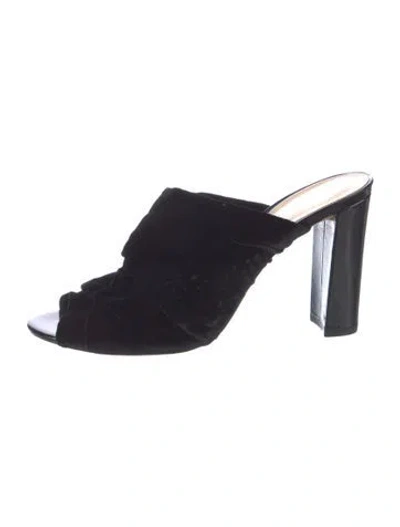 Pre-owned Alexandre Birman Velvet Mules In Multi
