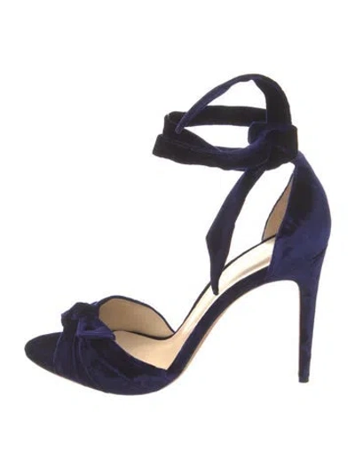 Pre-owned Alexandre Birman Velvet Pumps In Blue