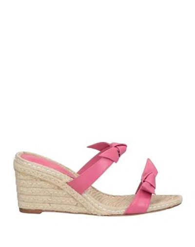 Alexandre Birman Woman Espadrilles Fuchsia Size 11 Leather In Pink