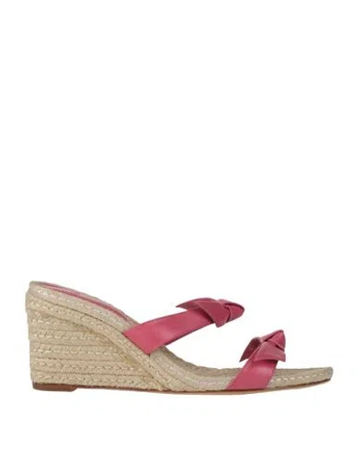 Alexandre Birman Woman Espadrilles Magenta Size 7 Leather