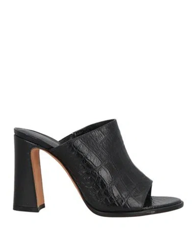 Alexandre Birman Woman Sandals Black Size 11 Leather