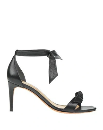 Alexandre Birman Woman Sandals Black Size 8 Leather