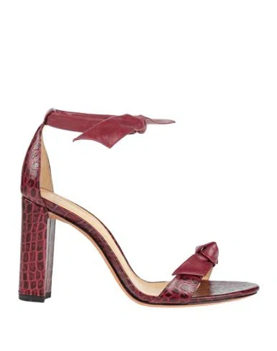 Alexandre Birman Woman Sandals Burgundy Size 7 Leather In Red