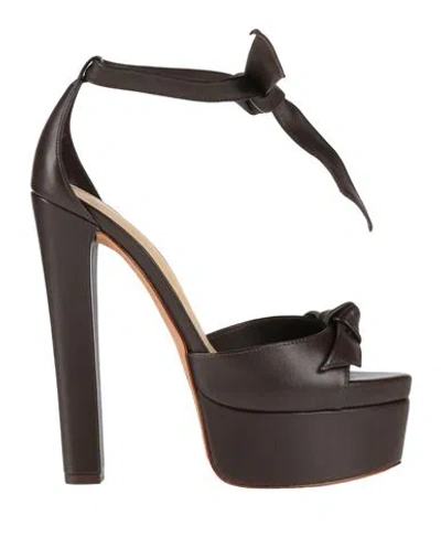 Alexandre Birman Woman Sandals Dark Brown Size 11 Leather