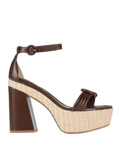 Alexandre Birman Woman Sandals Dark Brown Size 8 Leather