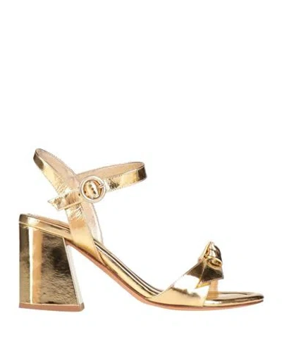 Alexandre Birman Woman Sandals Gold Size 8 Leather
