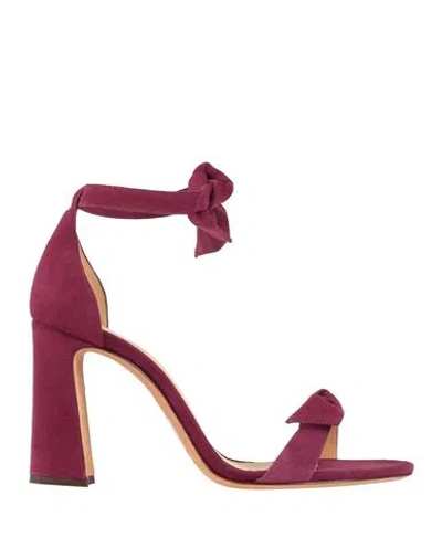 Alexandre Birman Woman Sandals Plum Size 8 Leather In Purple