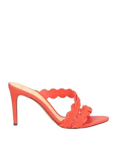 Alexandre Birman Woman Sandals Tomato Red Size 9 Soft Leather