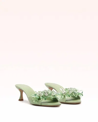 Alexandre Birman Women's Sierra 60 Retro Mules In Green