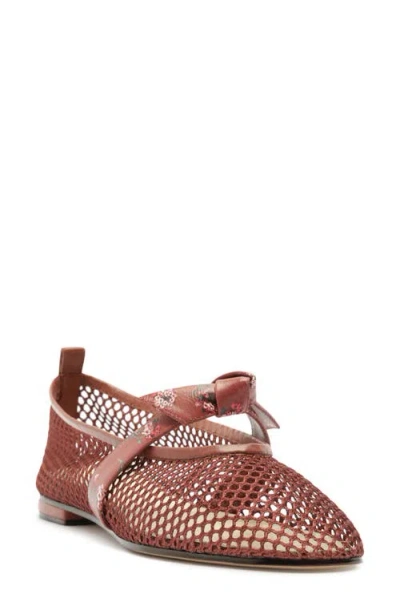 Alexandre Birman X Agua By Agua Bendita Clarita Mesh Mary Jane Ballet Flat In Multi