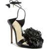 Alexandre Birman X Agua By Agua Bendita Ornela Ankle Strap Sandal In Black