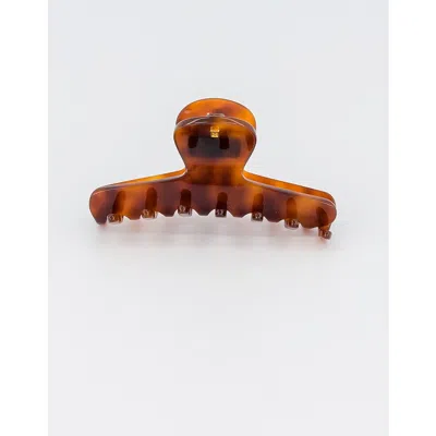 Alexandre De Paris Raspail Medium Acetate Hair Clip In Brown