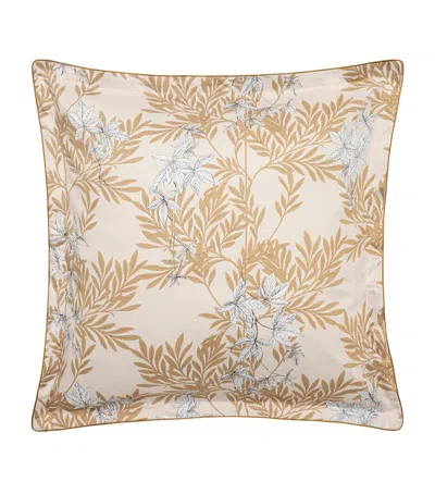 Alexandre Turpault Organic Cotton Promenade Square Pillowcase In Multi