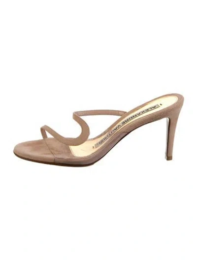 Pre-owned Alexandre Vauthier Suede Sandals In Neutrals