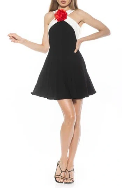 ALEXIA ADMOR ALEXIA ADMOR ALEXI FIT & FLARE DRESS