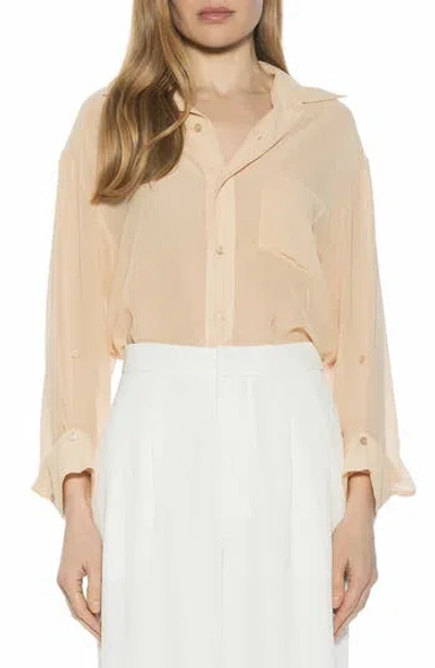 Alexia Admor Atticus Sheer Button Up Shirt In Neutral