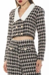 Alexia Admor Aurelia Cropped Tweed Jacket In Black/pink