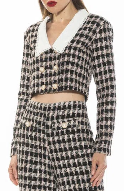 Alexia Admor Aurelia Cropped Tweed Jacket In Black/pink