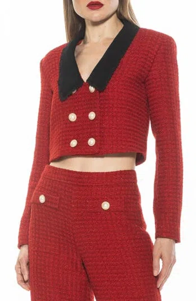 ALEXIA ADMOR ALEXIA ADMOR AURELIA TWEED CROP JACKET