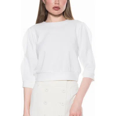 Alexia Admor Bebe Three-quarter Sleeve Sweatshirt In White