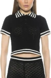 Alexia Admor Brinley Crochet Stitch Polo In Black