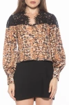 Alexia Admor Bryne Lace Trim Top In Brown