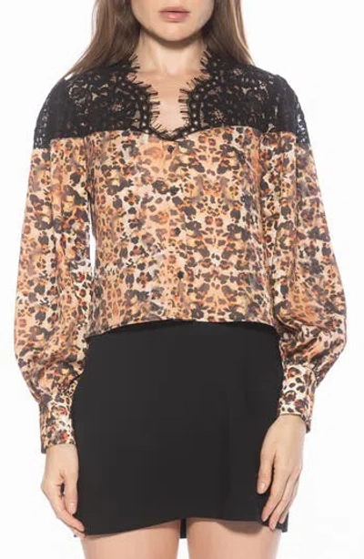 Alexia Admor Bryne Lace Trim Top In Brown