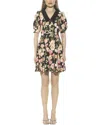 Alexia Admor Carys Puff Sleeve Fit & Flare Dress In Black