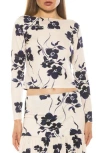 Alexia Admor Dahlia Boat Neck Top In Blue Floral