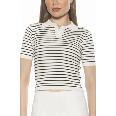 Alexia Admor Elani Knit Polo In Multi