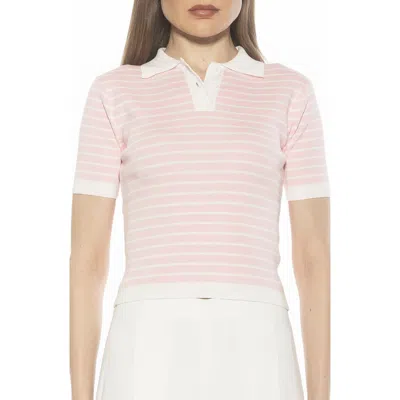Alexia Admor Elani Knit Polo In Pink