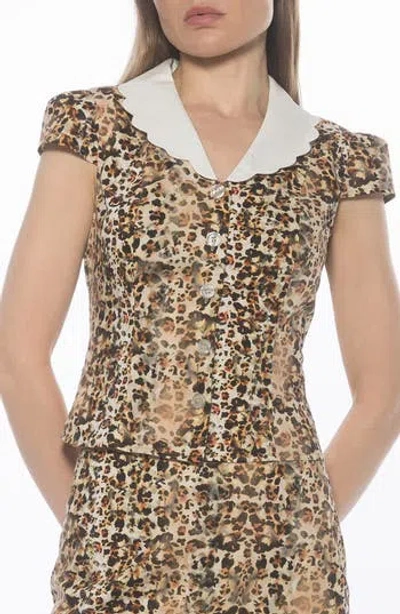 Alexia Admor Gulianna Scallop Collar Button-up Top In Brown
