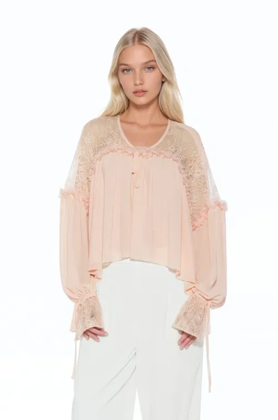 Alexia Admor Indigo Lace Cotton Blouse In Pink