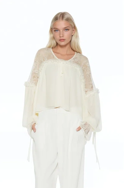 Alexia Admor Indigo Lace Cotton Blouse In White