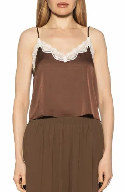 Alexia Admor Isla Lace Trim Cami In Brown