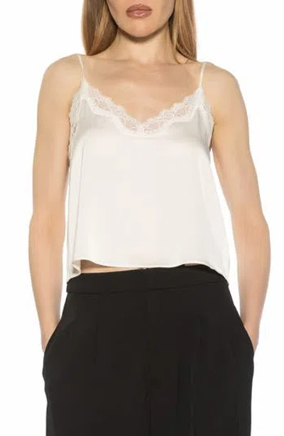 Alexia Admor Isla Lace Trim Cami In White
