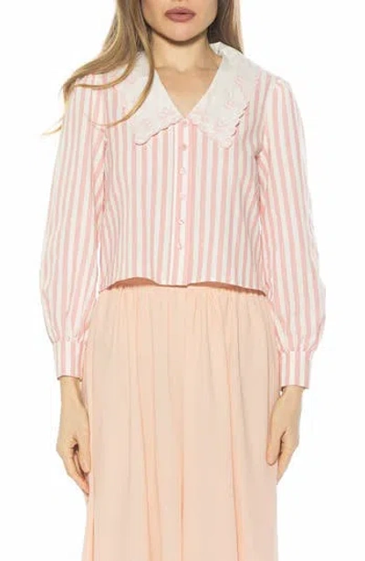 Alexia Admor Issey Embroidered Collar Button-up Shirt In Multi