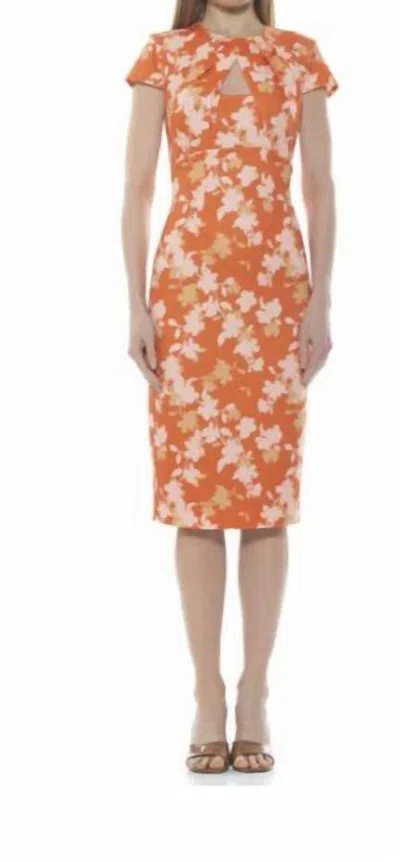 Alexia Admor Janine Dress In Orange Floral In Multi