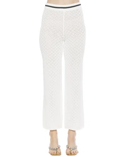 Alexia Admor Kora Cropped Open Stitch Knit Pants In Ivory