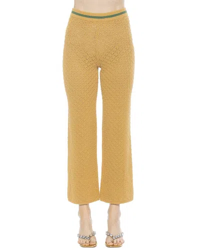 Alexia Admor Kora Cropped Open Stitch Knit Pants In Yellow