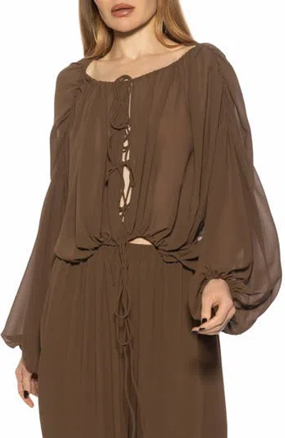 Alexia Admor Luca Blouson Sheer Top In Brown