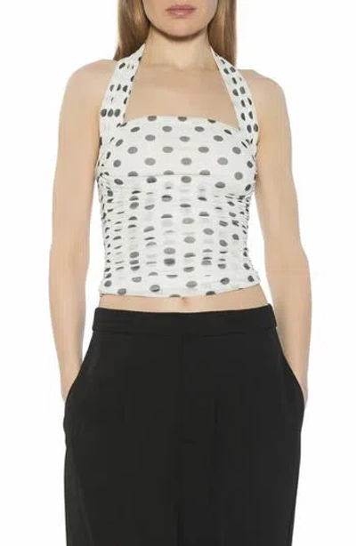 Alexia Admor Luca Halter Square Neck Top In Multi