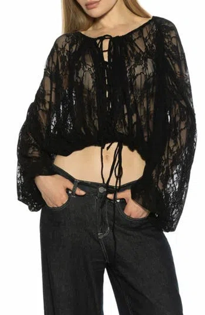 Alexia Admor Luca Sheer Lace Top In Black