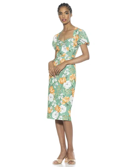Alexia Admor Micaela Dress In Multi