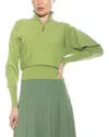 Alexia Admor Niko Turtleneck Sweater