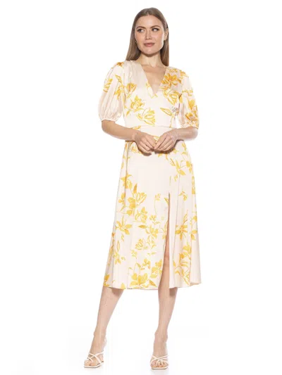 Alexia Admor Nola Dress In Multi