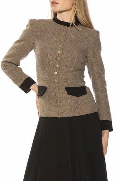 Alexia Admor Nox Herringbone Blazer