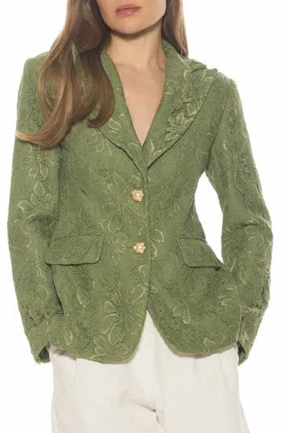 Alexia Admor Nyx Lace Blazer In Pink